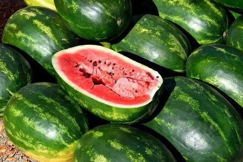 瓜咋吃才能好吃呢视频,解锁美味瓜果的正确食用方法