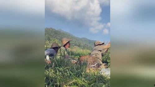 缅甸部队吃瓜视频,揭秘军营里的欢乐时光