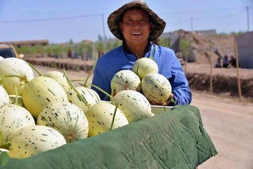 甘肃空空吃瓜视频,揭秘当地特色美食背后的故事