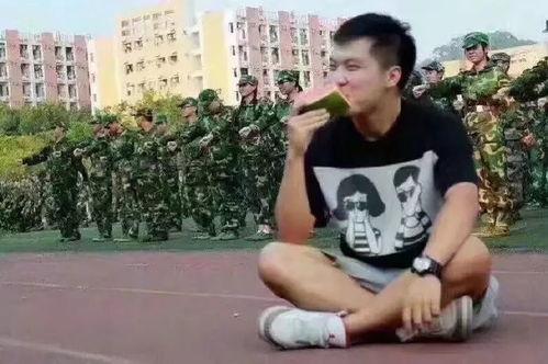 甜蜜诱惑吃瓜群众视频播放,揭秘吃瓜群众的疯狂追剧热潮