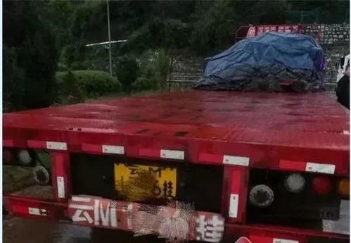 司机撞车吃瓜视频播放下载,意外还是炒作？