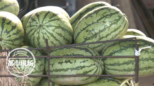 第一天吃瓜视频,揭秘第一天吃瓜视频背后的故事